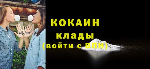 соль ск Арсеньев