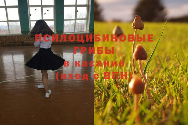 соль ск Арсеньев
