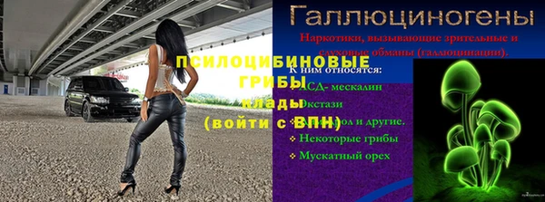 соль ск Арсеньев