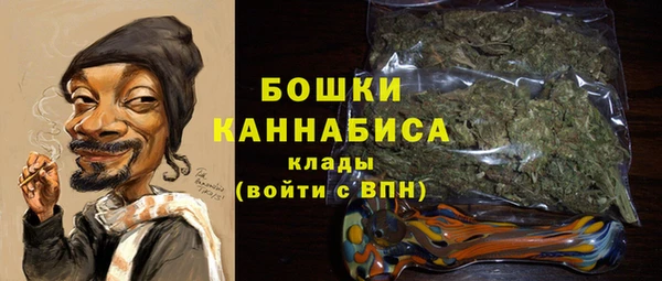 соль ск Арсеньев